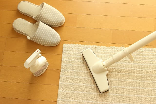 家の掃除をする