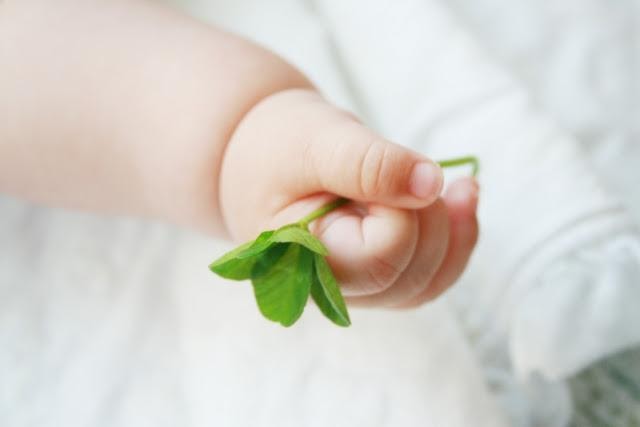 子供の手