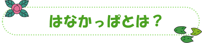はなかっぱとは?