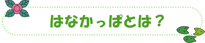 はなかっぱとは？